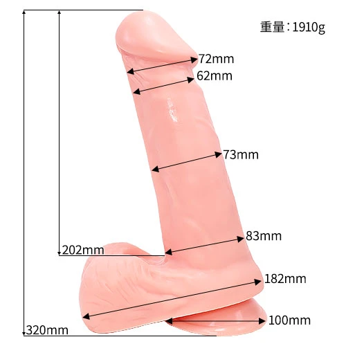 説明