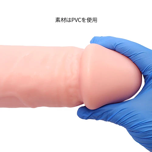 説明