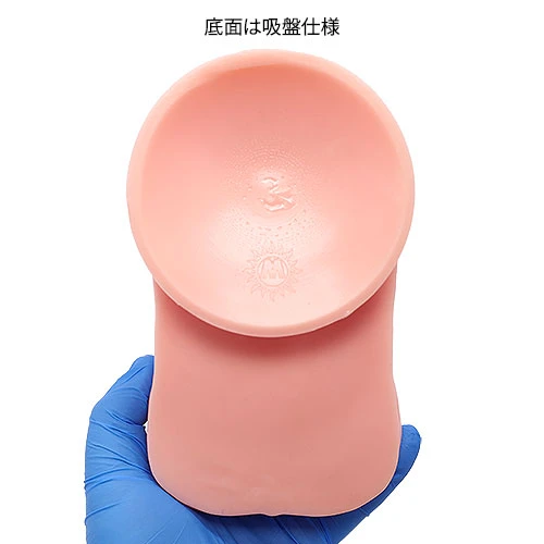 説明