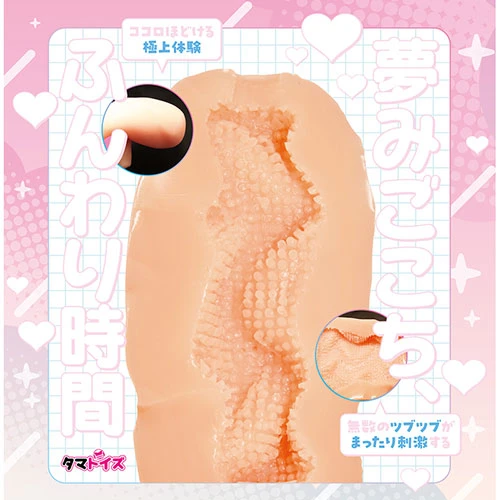説明