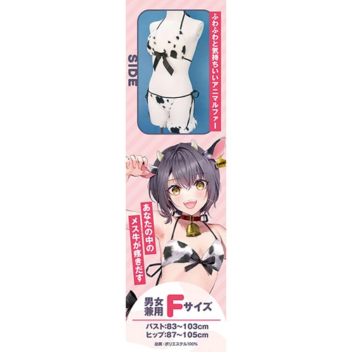 説明