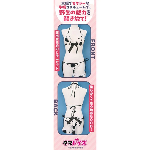 説明