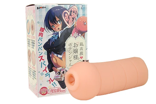 説明