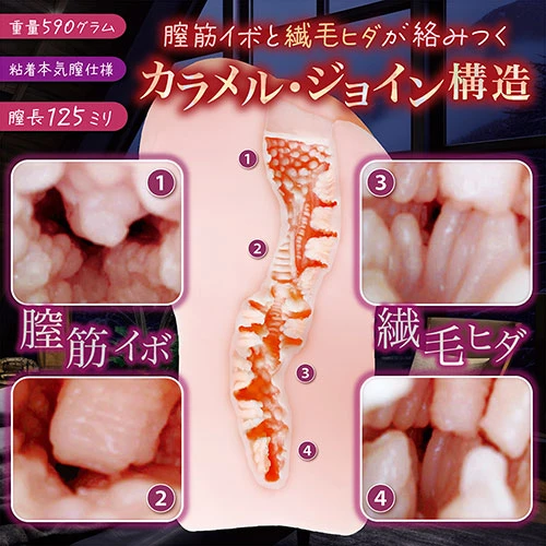 寝取られ淫モラル（NTWA-028）