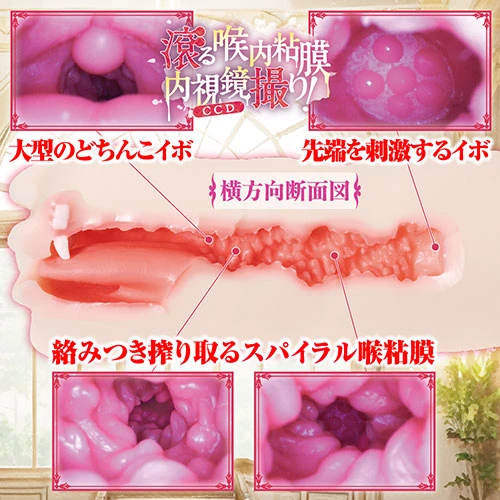 説明