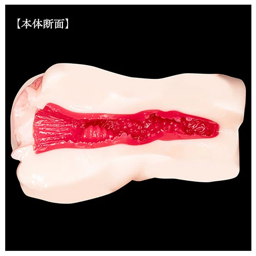 説明