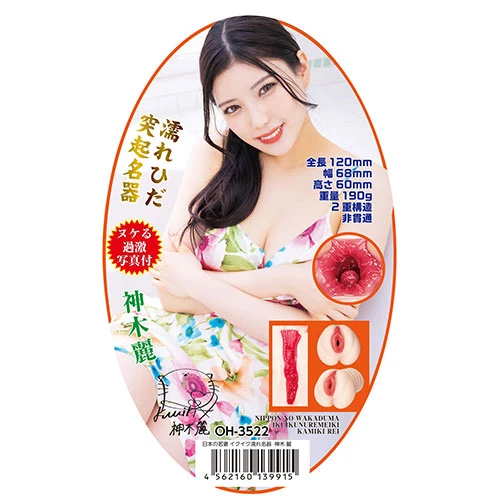 説明