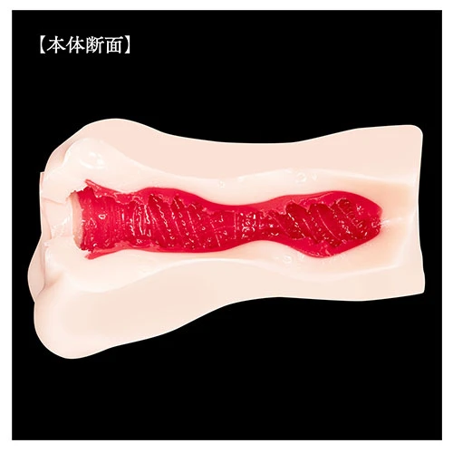 説明