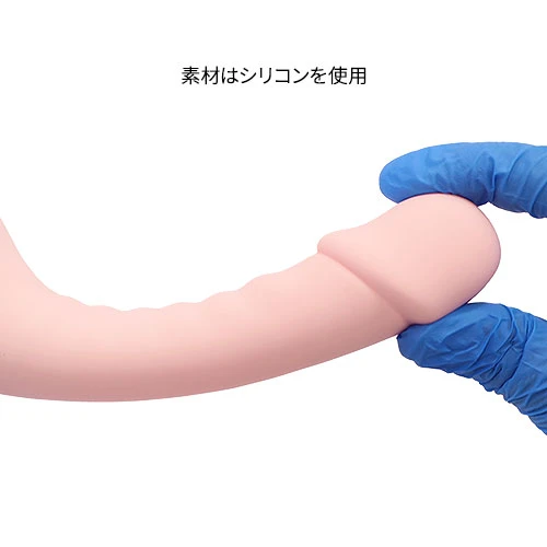 説明
