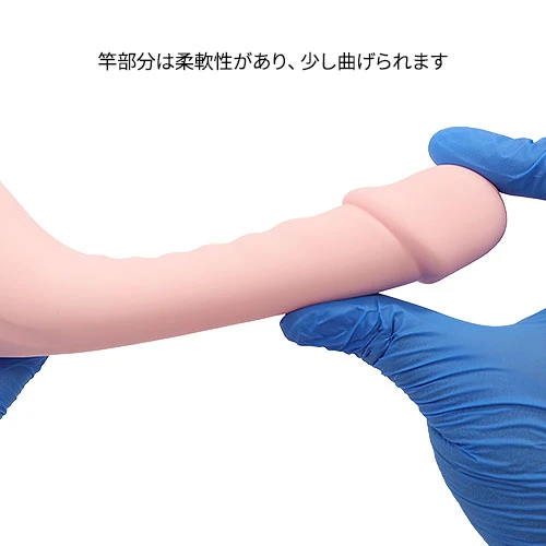 説明