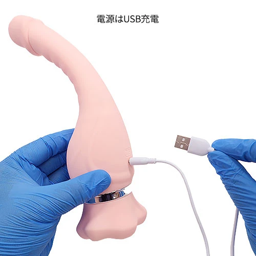 説明