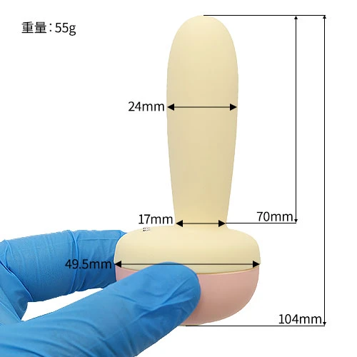 説明
