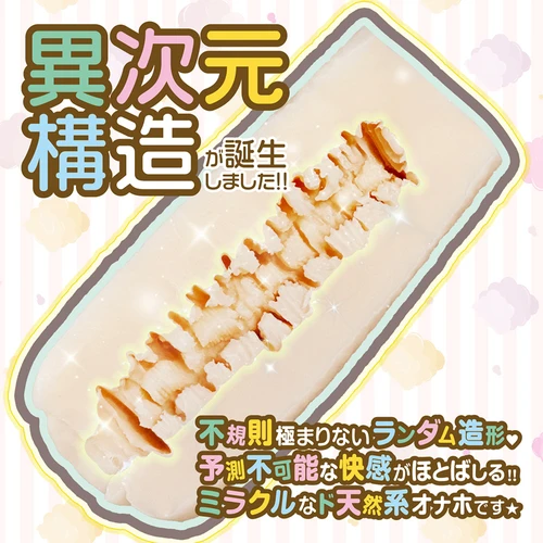 説明