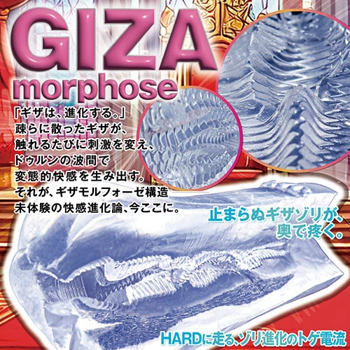 【8/7発売予定】QUEENS