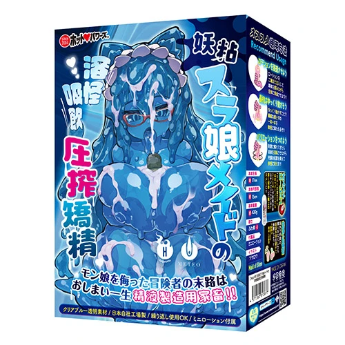 説明