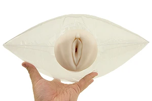 説明