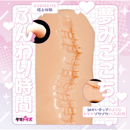 説明