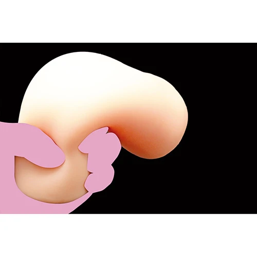 説明