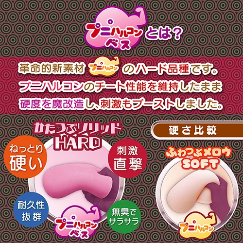 説明