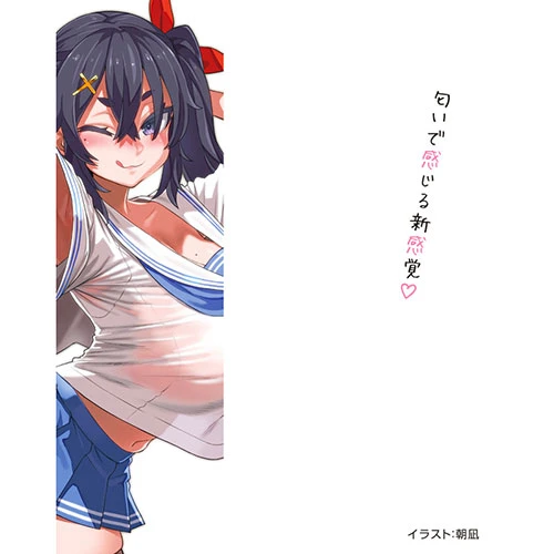 説明