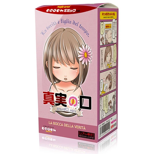 説明