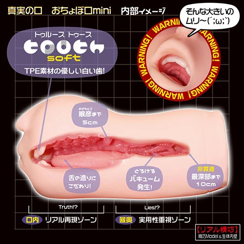 説明