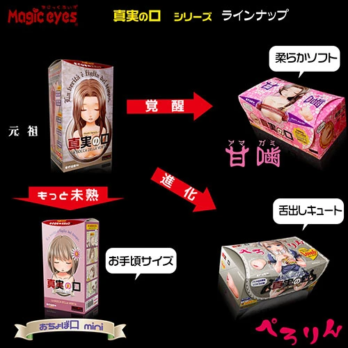 説明
