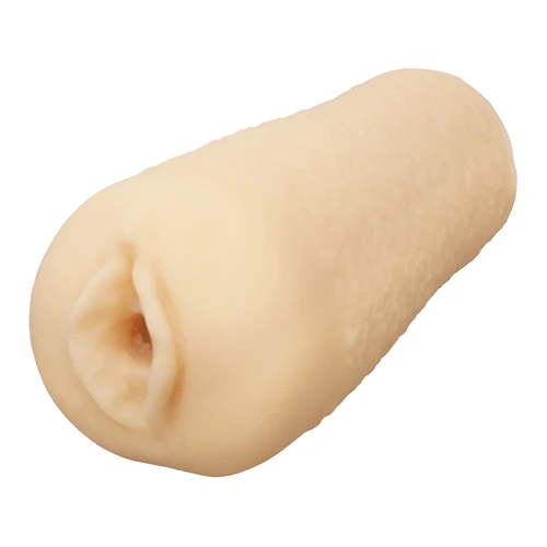 説明
