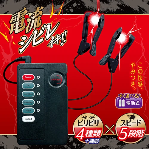説明