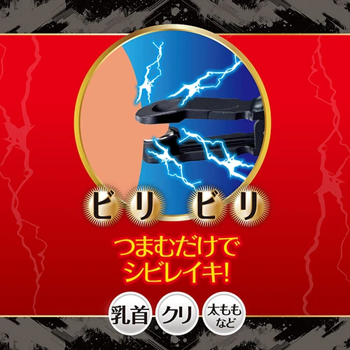 説明