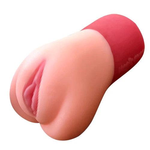 説明