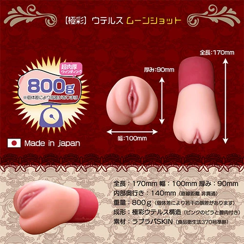 説明