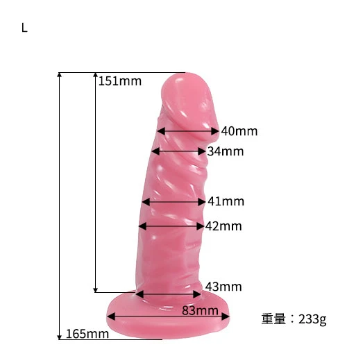 説明