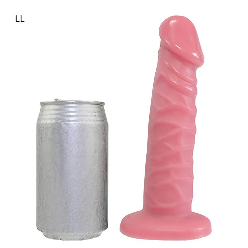 説明
