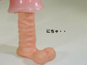 説明