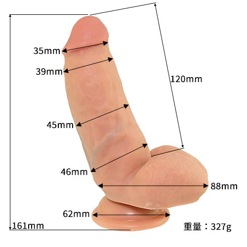 説明