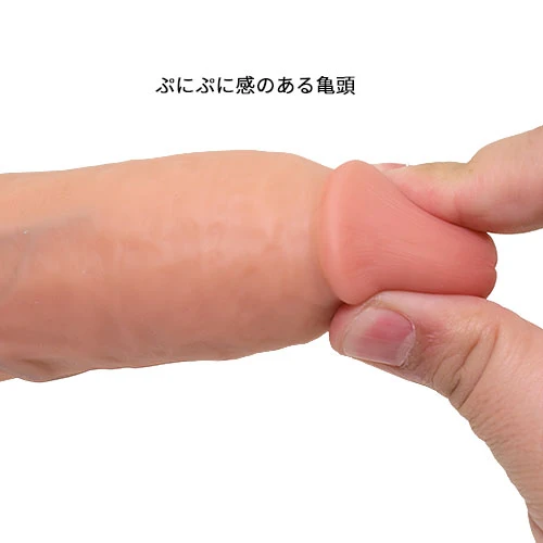 説明