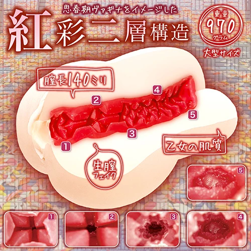 思春期サンクチュアリ（NTWA-032）