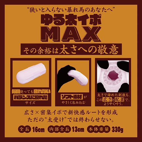 説明