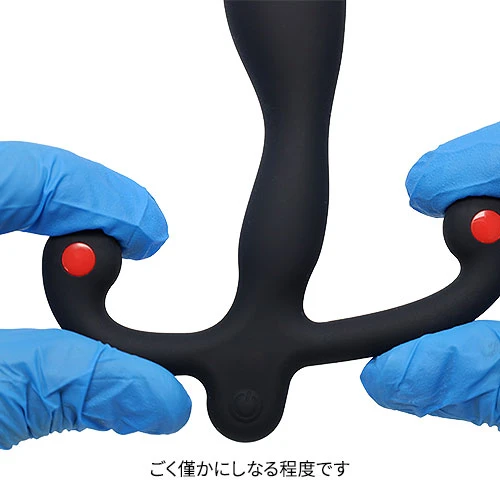 説明