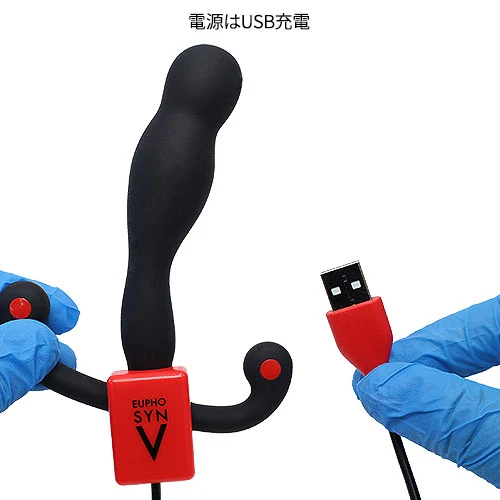 説明