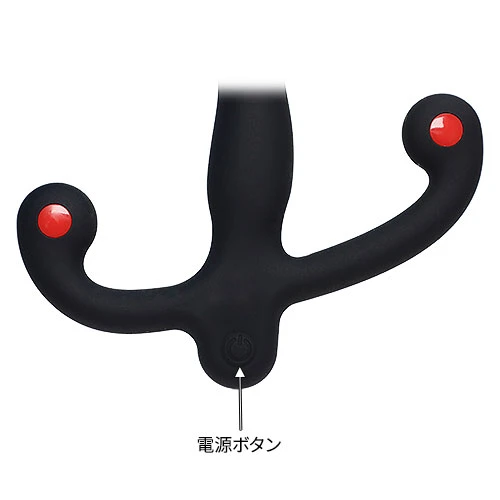 説明