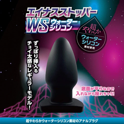 説明