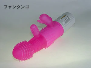 説明