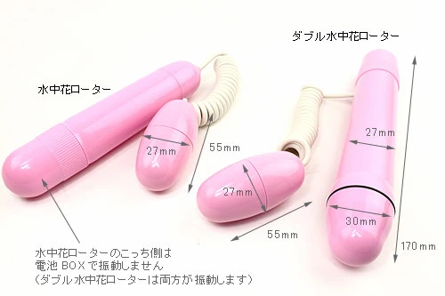 説明