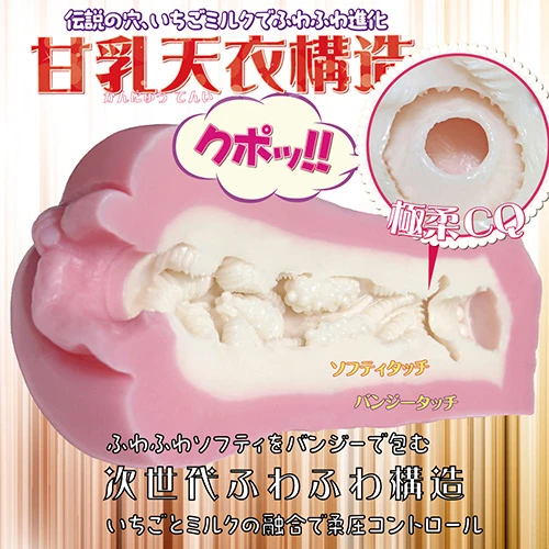 説明