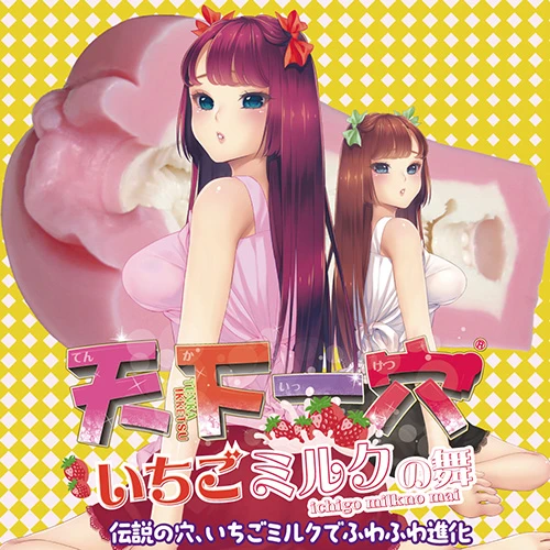説明