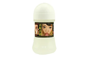 説明