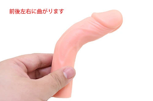 ハンディパートナー PLUS1
