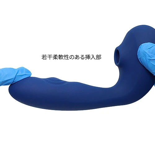説明